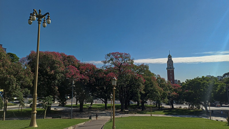 FLORECEN DESDE FEBRERO